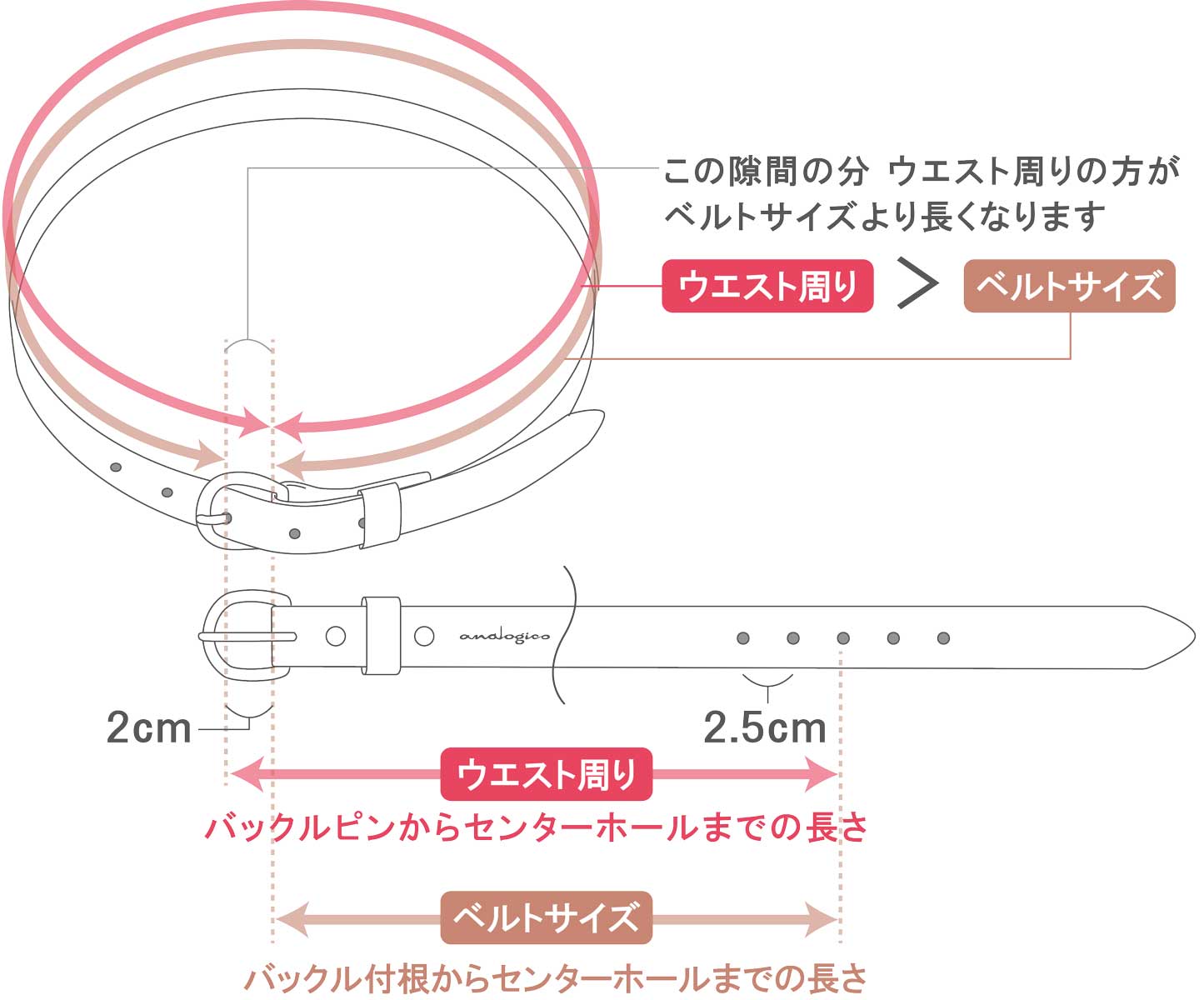 3cm幅ベルト プレーンバックル Analogico アナロジコ